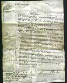 Court of Common Pleas - Susanna Lydia Cowper-Original Ancestry