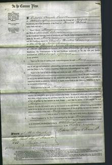 Court of Common Pleas - Mary Colman-Original Ancestry