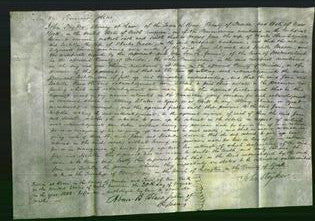 Court of Common Pleas - Jane Sedgwick and Isabella Masse-Original Ancestry