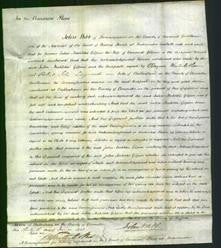 Court of Common Pleas - Julia Matilda Gilpin-Original Ancestry