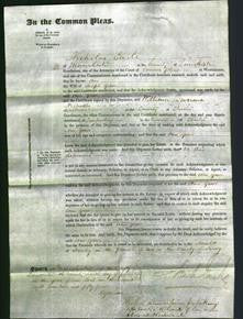 Court of Common Pleas - Ann Grave-Original Ancestry