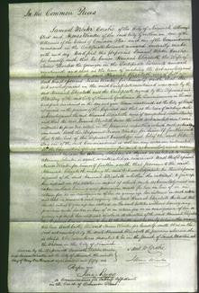 Court of Common Pleas - Hannah Elizabeth Thouless-Original Ancestry