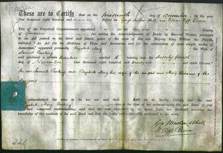 Deed by Married Women - Elizabeth Mary Pinching-Original Ancestry