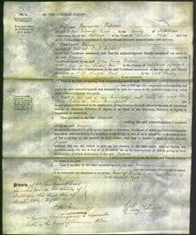 Court of Common Pleas - Frances Amphlett-Original Ancestry