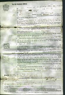 Court of Common Pleas - Hannah Jarvis, Mary Ann Davenport, Elizabeth Scanlon, Ann Bagguley and Mary Smith-Original Ancestry