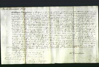 Court of Common Pleas - Jane Collier-Original Ancestry
