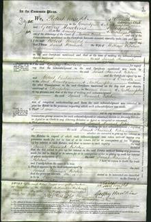 Court of Common Pleas - Sarah Hannah Kitchen-Original Ancestry