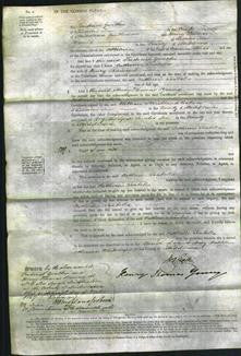 Court of Common Pleas - Catherine Isabella Raincock-Original Ancestry