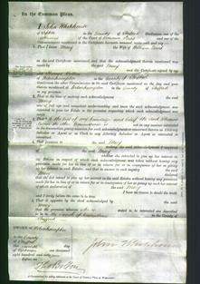 Court of Common Pleas - Mary Elcock-Original Ancestry