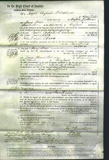 Court of Common Pleas - Jane Davies-Original Ancestry