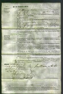 Court of Common Pleas - Jane Fielding-Original Ancestry