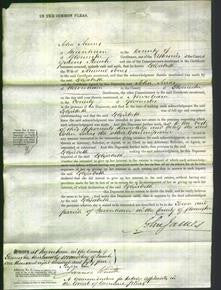 Court of Common Pleas - Elizabeth Jones-Original Ancestry