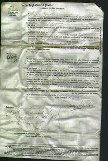 Court of Common Pleas - Blanche Caroline Back-Original Ancestry