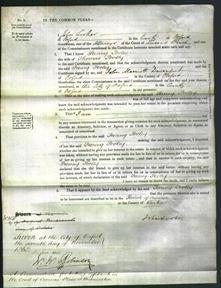 Court of Common Pleas - Fanny Pooley-Original Ancestry