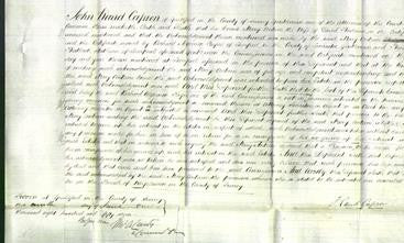 Court of Common Pleas - Mary Antrim Hodgson-Original Ancestry