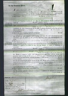 Court of Common Pleas - Mary Eddles-Original Ancestry