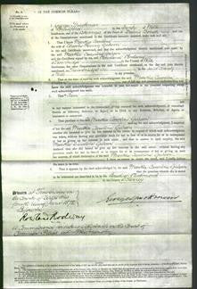 Court of Common Pleas - Martha Caroline Gibson-Original Ancestry