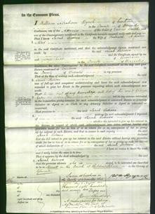 Court of Common Pleas - Sarah Rebecca Nind-Original Ancestry