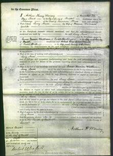 Court of Common Pleas - Lucy Anne Garlike-Original Ancestry