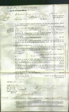 Court of Common Pleas - Elizabeth Newman-Original Ancestry