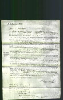Court of Common Pleas - Hannah Mynott-Original Ancestry