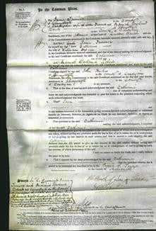 Court of Common Pleas - Catharine Owen-Original Ancestry