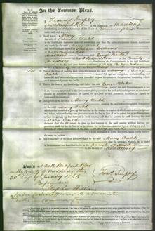 Court of Common Pleas - Mary Ould-Original Ancestry