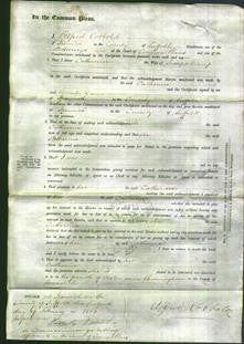 Court of Common Pleas - Catherine Kemp-Original Ancestry