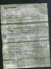 Court of Common Pleas - Mary Wicken-Original Ancestry