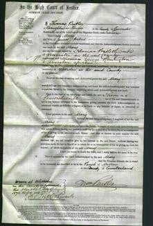 Court of Common Pleas - Mary Herbert-Original Ancestry