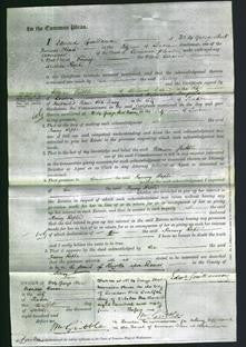 Court of Common Pleas - Fanny Rophe-Original Ancestry