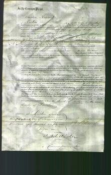 Court of Common Pleas - Susan Smith-Original Ancestry