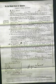 Court of Common Pleas - Mary Ann Catherine Downs and Louisa Birch-Original Ancestry