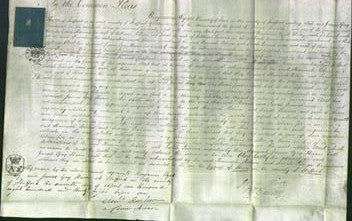 Court of Common Pleas - Hannah Robins and Sarah Turner-Original Ancestry