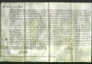 Court of Common Pleas - Isabella Lamb-Original Ancestry