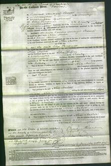 Court of Common Pleas - Alice Archer-Original Ancestry