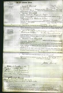 Court of Common Pleas - Elizabeth Cooper-Original Ancestry
