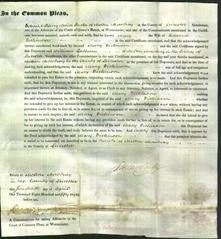 Court of Common Pleas - Mary Dickinson-Original Ancestry