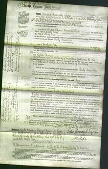 Court of Common Pleas - Emily Anne Jones