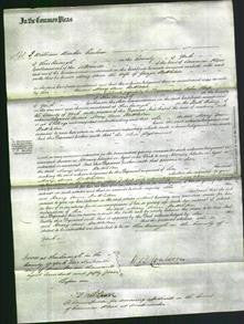 Court of Common Pleas - Mary Ann Nettleton-Original Ancestry