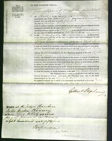 Court of Common Pleas - Elizabeth Field-Original Ancestry