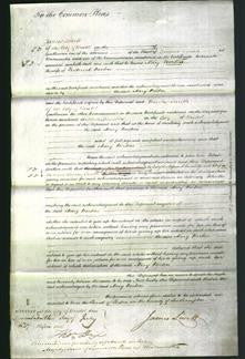 Court of Common Pleas - Mary Norton-Original Ancestry