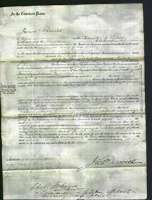 Court of Common Pleas - Elizabeth Maltby-Original Ancestry