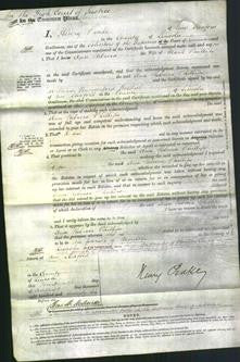 Court of Common Pleas - Ann Rebecca Phillips-Original Ancestry