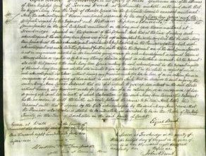 Court of Common Pleas - Mary Ann Curine-Original Ancestry