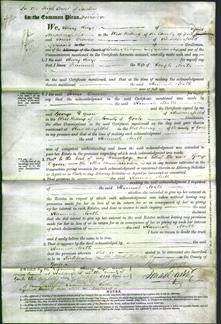 Court of Common Pleas - Hannah North-Original Ancestry