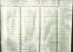 Court of Common Pleas - Louisa House-Original Ancestry