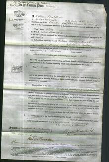 Court of Common Pleas - Alice Lambert-Original Ancestry