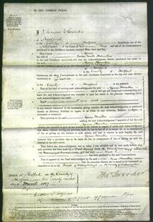 Court of Common Pleas - Agnes Thornton-Original Ancestry