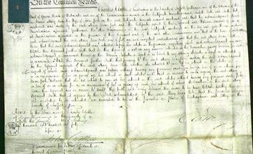 Court of Common Pleas - Mary Ann Peck-Original Ancestry